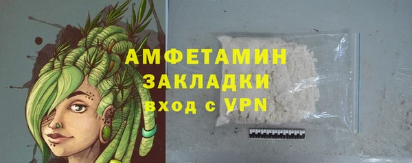 индика Кемь