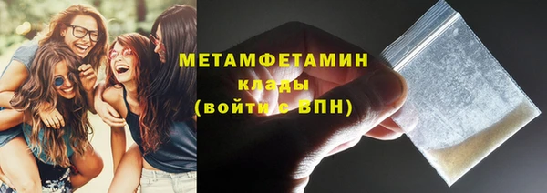 сатива Тайга