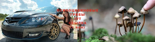 герыч Струнино
