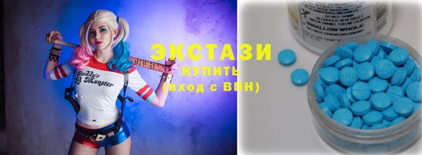 ПСИЛОЦИБИНОВЫЕ ГРИБЫ Кедровый