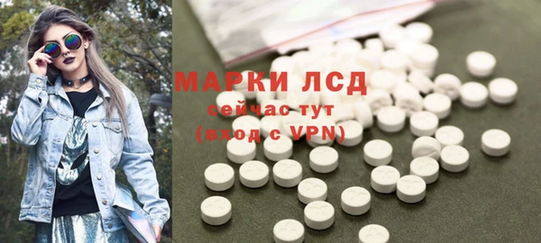 индика Кемь