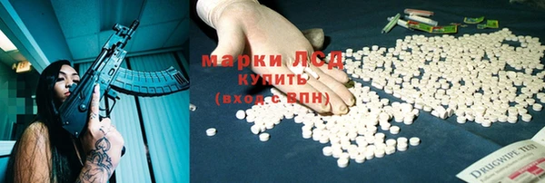 индика Кемь
