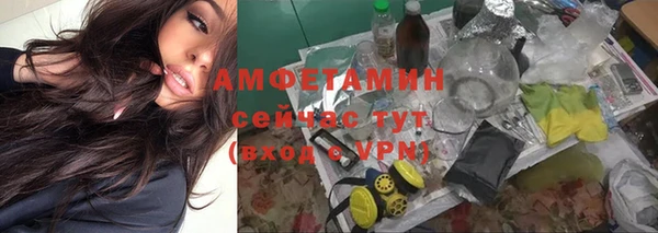 прущие грибы Строитель