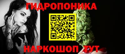 ALPHA PVP Бийск