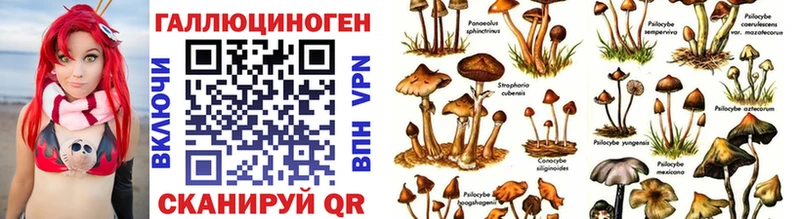 Галлюциногенные грибы Cubensis  площадка наркотические препараты  Шарыпово 
